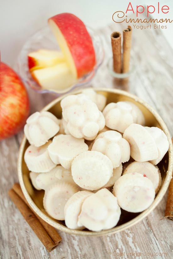 yogurt-bites